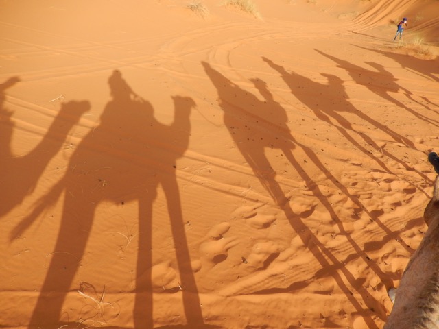 morocco-bev-d-camel-ride-image004